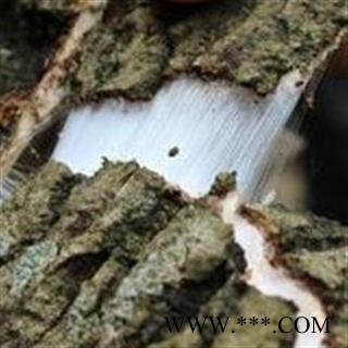 杜仲 杜仲方片 块 产地 山西省图2