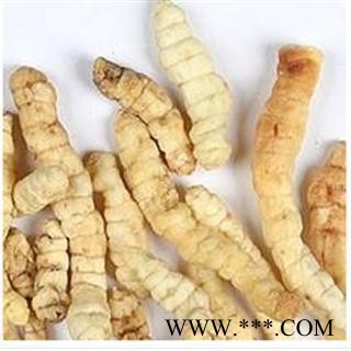 【草石蚕 地蚕 宝塔菜 螺狮菜】土虫草 炖汤 补品图2