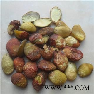 芝春堂 正品中药材 黄皮核黄皮果核黄皮籽黄皮子支持验货图3