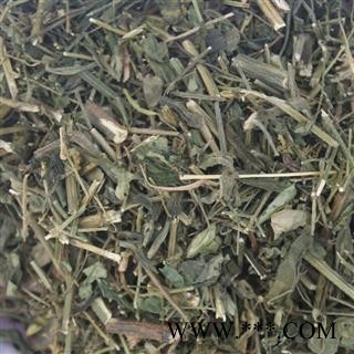 小丽百草行中药材穿心莲 春莲秋柳，一见喜图2