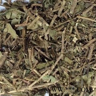 吉康药业三角枫  三角风 三角槭图2