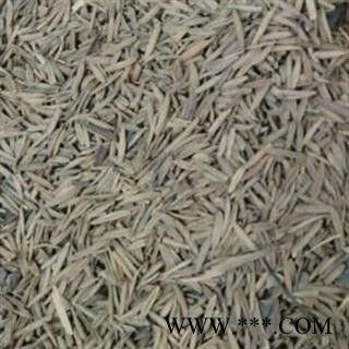 吉康药业止泻木子 斗毛娘另有止泻木皮图1