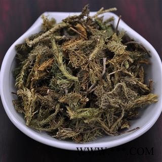 伸筋草 牛尾菜 统货 产地 云南省 产地直供 支持线上保障交易 安徽省冰源堂药业经营品3000余种中药材【冷背中药材】图3