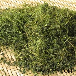 绞股蓝  龙须绞股蓝 优质 产地 福建省图2