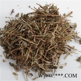 精品地锦草选段 见血愁 卧蛋草  质量好 价格低 产地直销 产地 广西壮族自治区图2