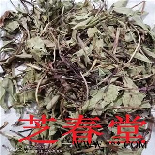 芝春堂 蒙 藏 维中药材 洪连 藏黄连 兔耳草 洪连 藏黄连 兔耳草图2