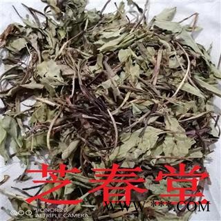 芝春堂 蒙 藏 维中药材 洪连 藏黄连 兔耳草 洪连 藏黄连 兔耳草图4