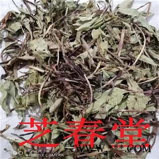 芝春堂 蒙 藏 维中药材 洪连 藏黄连 兔耳草 洪连 藏黄连 兔耳草图3