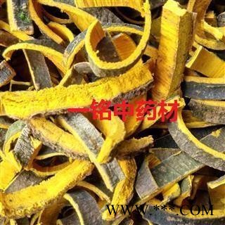 黄柏 川黄柏 选货 产地 四川省图2