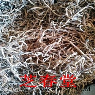 芝春堂 供应中药材 鱼腥草根 折耳根  节节根图2