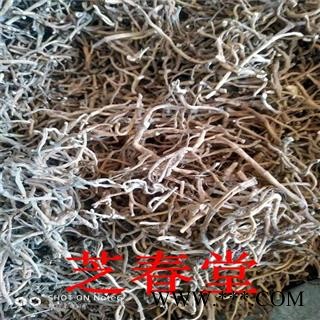 芝春堂 供应中药材 鱼腥草根 折耳根  节节根图3