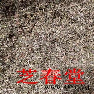 中药材现货批发猪殃殃 拉拉藤 爬拉殃 八仙草 猪秧秧 锯锯藤图4