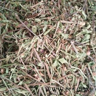 半枝莲 半枝莲 产地 河北省 批发各种冷背中草药个子图2