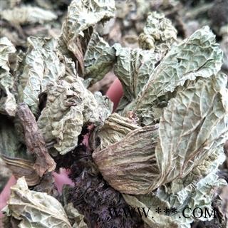 独一味叶 统货 产地 四川省 产地直供 支持线上保障交易 安徽省冰源堂药业经营品3000余种中药材【冷背中药材】图2