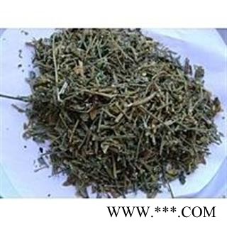 响铃草（农吉利），冷背药材响铃草 芝麻响铃铃图3