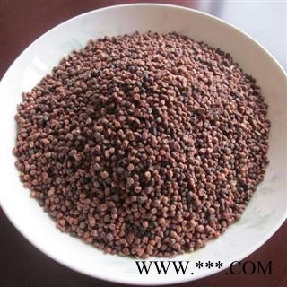 马蔺子 又名:庵吕子,马兰子,马楝子,马莲子 药用保含量图2