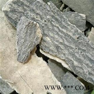 小丽百草行椿皮  椿身皮  另有根皮图2