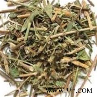 透骨草 马鞭透骨草统货 产地 辽宁省图2