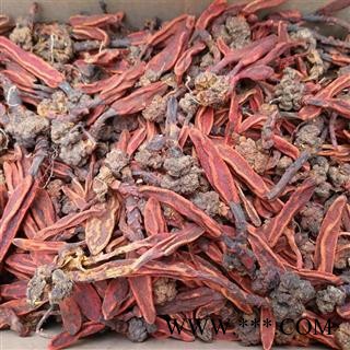 芝春堂 野生 好统货 草苁蓉 顶天柱 不老草 回春草 壮阳草 不老根图3