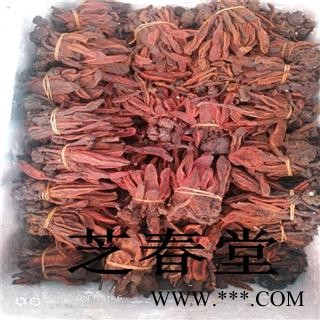 芝春堂 野生 好统货 草苁蓉 顶天柱 不老草 回春草 壮阳草 不老根图4