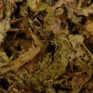 甜叶菊 甜菊叶 药用甜叶菊 茶用 正品 优质 无污染 精选 优惠图3