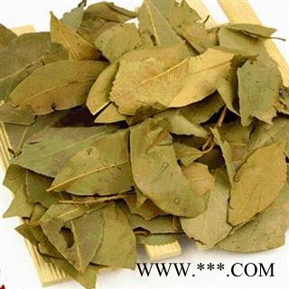 小丽百草行 香叶 调料 月桂叶 香桂叶 桂叶 天竺桂图2