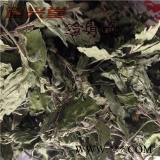 薄荷 1kg 包装 精品薄荷叶（茶用） 苏薄荷、水薄荷、鱼香草、人丹草、蕃荷菜、野薄荷、夜息香、南薄荷、水薄荷、鱼香菜、狗肉香、水益母、接骨草  批发经营各种冷背中草药个子图3