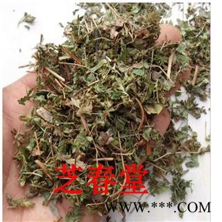 中草药材批发 海金沙藤 无硫新货海金沙草 罗网藤散装 量大从优图4