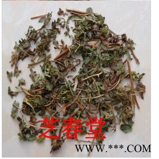 中草药材批发 海金沙藤 无硫新货海金沙草 罗网藤散装 量大从优图2