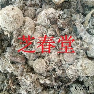 西藏特产纯野生雪莲花 红雪莲花 比肩天山雪莲花 雪域原生红血莲图2