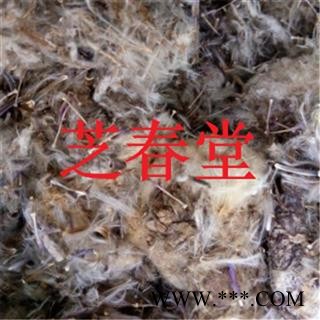 西藏特产纯野生雪莲花 红雪莲花 比肩天山雪莲花 雪域原生红血莲图4