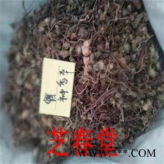 芝春堂供应冷背药材 正品 神香草 牛膝草 柳薄荷 海索草 一件代发图3