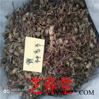 芝春堂供应冷背药材 正品 神香草 牛膝草 柳薄荷 海索草 一件代发图2