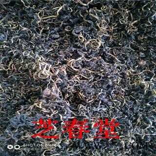 芝春堂 蒲公英叶茶 另有蒲公英根茶  产地直销图3