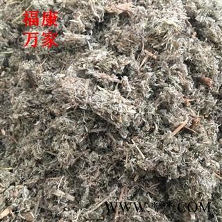 绵茵陈 绵茵陈灰白色统段 产地 甘肃省图2