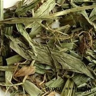 小丽百草行淡竹叶 翠绿色新货图2