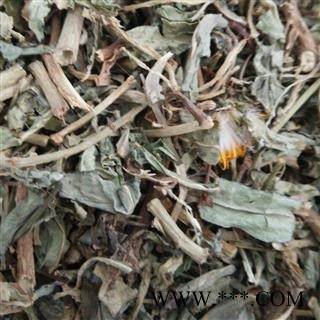 精品选装净货败酱草 质量好 价格低  产地 山东省图2