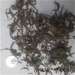 芝春堂 卷柏 正品 九死还魂草 石柏 岩柏草 黄疸卷柏图4