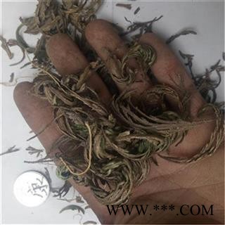 芝春堂 卷柏 正品 九死还魂草 石柏 岩柏草 黄疸卷柏图3