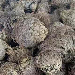 芝春堂 卷柏 正品 九死还魂草 石柏 岩柏草 黄疸卷柏图2