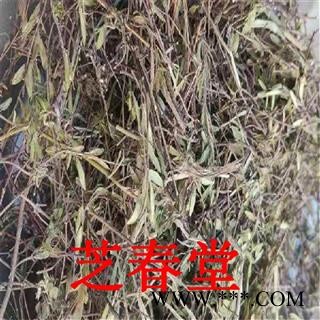 供应中药材百里香养生膳食原料 地椒 地花椒 山椒 山胡椒 优质香料图3