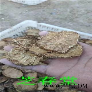 芝春堂 新疆荒漠肉苁蓉油性鲜干片 沙漠人参 软大芸 软肉苁蓉鲜切片干货图4