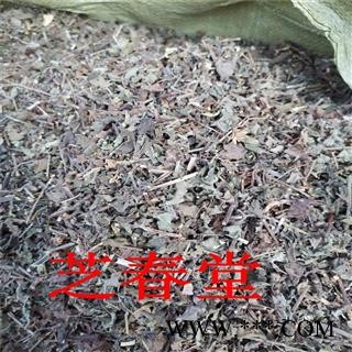 中药材批发 野生韩信草 耳挖草 大力草 金茶匙 牙刷草 顺经图2