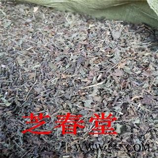 中药材批发 野生韩信草 耳挖草 大力草 金茶匙 牙刷草 顺经图3