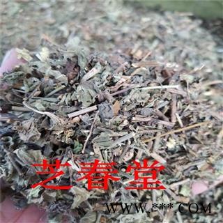 中药材批发 野生韩信草 耳挖草 大力草 金茶匙 牙刷草 顺经图4