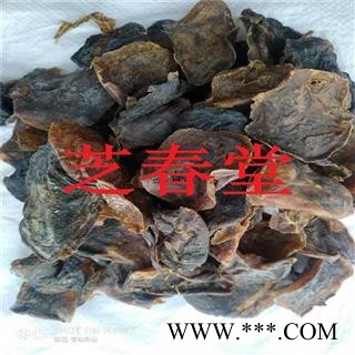 芝春堂 猫胎盘 生晒猫衣 正品保证 无硫药用一手货源图3