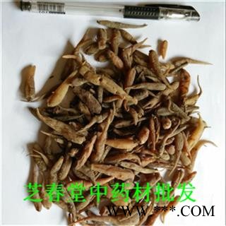 芝春堂 双参 对对参 肚拉 白都拉 萝卜都拉 西南囊苞花 土洋参  统货 产地 云南省 中药材批发 冷背药材专营图2