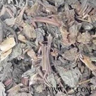 紫苏叶 好统货 道地好药 产地 山东省图3