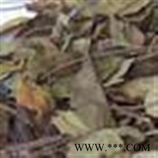 小丽百草行中药材-猴耳环又名亮叶猴耳环，图2