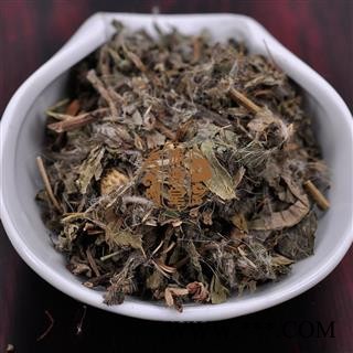 小蓟 统货 产地山东省 货真价实 批发各种规格中药材 花茶 矿石 冷背中药材图4